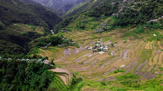 Foto foto aérea de drones de terrazas de arroz de banaue región montañosa de ifugao isla de luzón filipinas