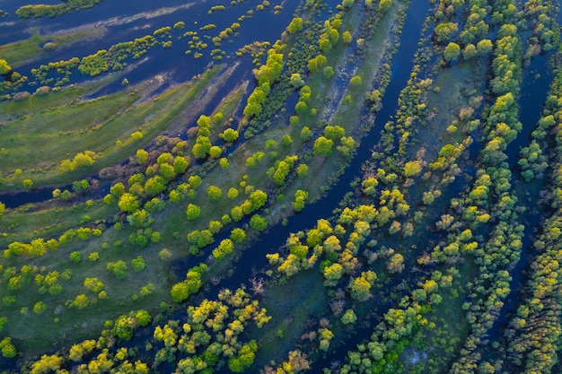 Foto aérea de una llanura aluvial del río Prypiac '(Pripyat) durante el desbordamiento de primavera