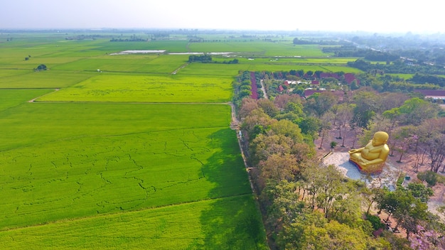 foto aérea paisaje hermoso gran oro Buda y campo de arroz en Tailandia