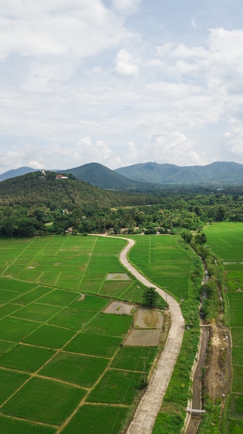 Foto aérea de la vista superior de volar el abejón del campo de Chiang Mai