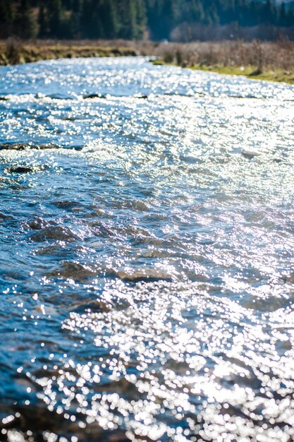 Una foto del agua con el sol brillando sobre ella.