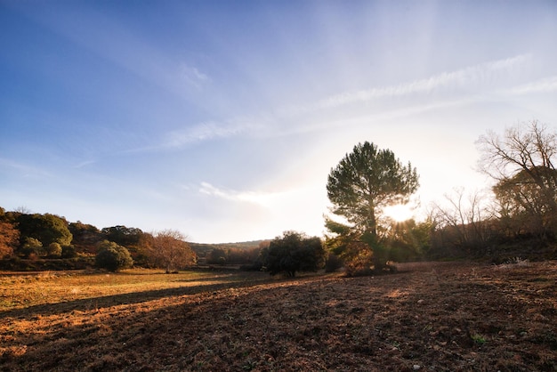 Foto del amanecer en un campo labrado