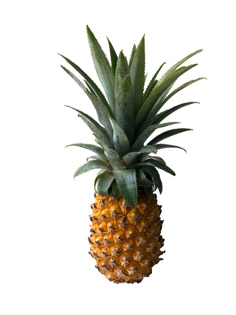 Foto Ananas auf weißem Hintergrund isoliert geschnitten