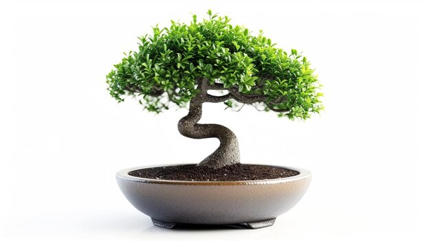 Foto de un árbol de bonsai en una olla en un fondo aislado Una planta de bonsai perfecta generada por la IA