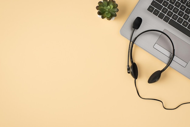 Foto de arriba de la planta verde de la computadora portátil y los auriculares aislados en el fondo beige con espacio vacío