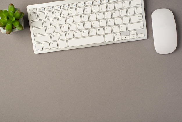 Foto de arriba del ratón de la computadora con teclado y una planta verde aislada en el fondo gris con espacio de copia