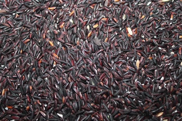 Foto de arroz integral desde arriba