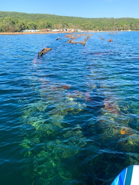 foto de un barco hundido en la superficie del agua