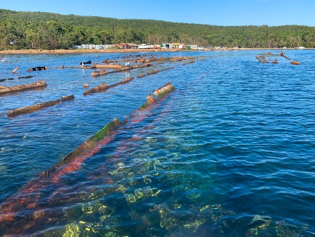 foto de un barco hundido en la superficie del agua