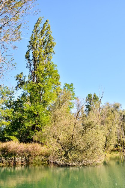 Foto-Bild des schönen wilden Flusses Brenta in Norditalien