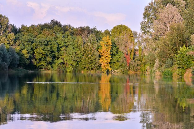 Foto-Bild des schönen wilden Flusses Brenta in Norditalien