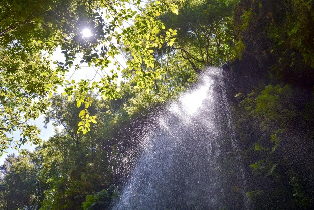 Foto-Bild eines schönen Wasser-Spritzen-Wasserfalls