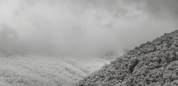 Foto foto en blanco y negro colinas cubiertas de nieve en las nubes a principios de la mañana de invierno en las estribaciones del cáucaso.