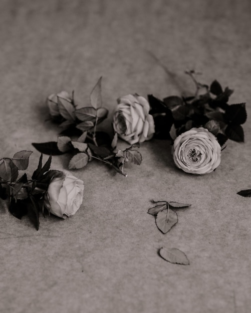 Una foto en blanco y negro de flores sobre una mesa.