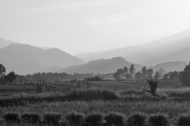 Foto en blanco y negro con hermosa vista matutina en indonesia