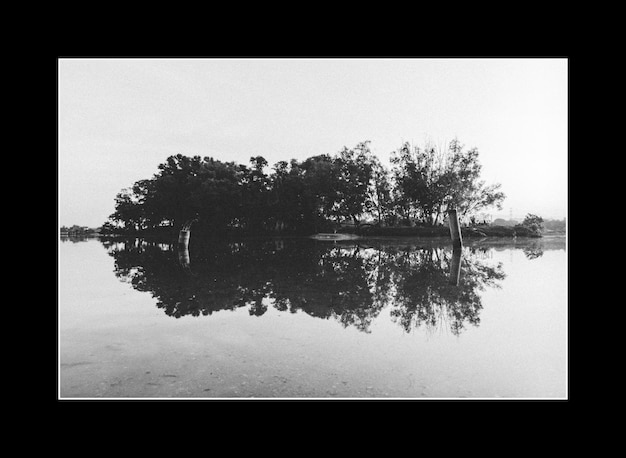 Una foto en blanco y negro de un lago con árboles y el cielo encima
