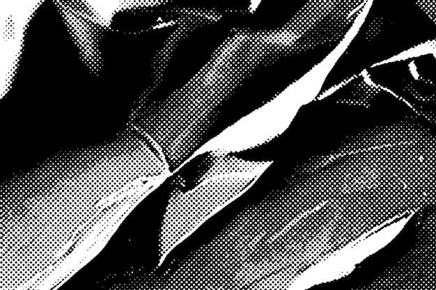 una foto en blanco y negro de un pájaro en una foto en negro y blanco