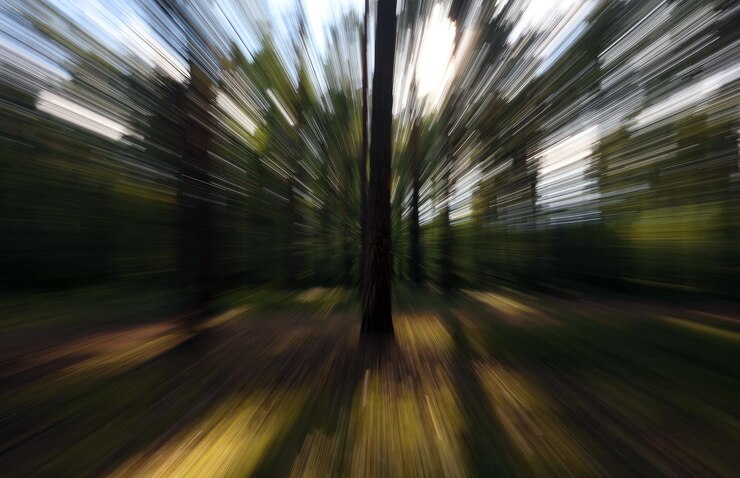 Foto una foto borrosa de un bosque con árboles y un fondo borroso