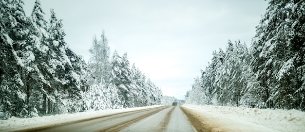 Foto de camino de invierno con árboles en la nieve durante el día