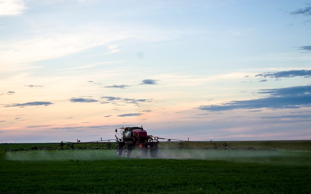 Foto de un campo de trigo rociar un tractor con preparados agroquímicos o agroquímicos sobre un youn