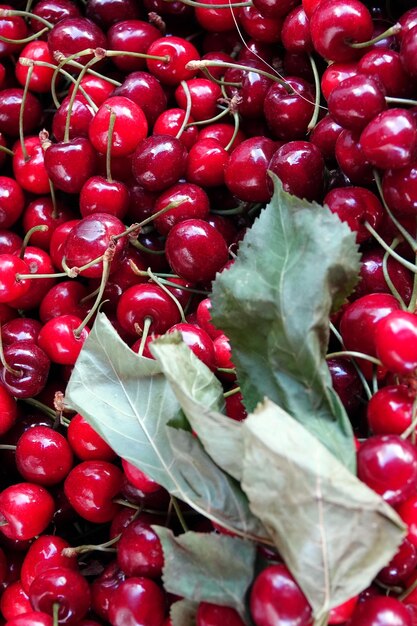Foto de cereza roja de fruta deliciosa orgánica