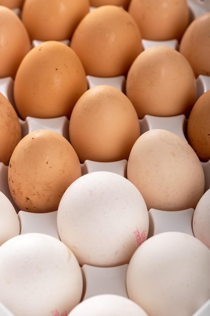 foto de cierre de huevos de gallina orgánicos