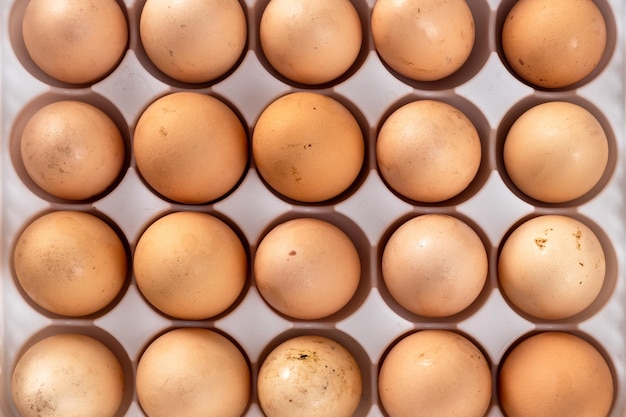 foto de cierre de huevos de gallina orgánicos