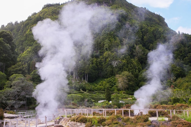 Foto com uma bela natureza tropical no verão na ilha de São Miguel, Açores, Portugal