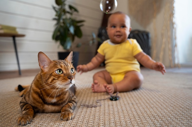 Foto completa borrada bebê e gato no chão