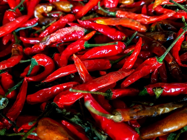 Foto foto completa de los pimientos rojos de chile