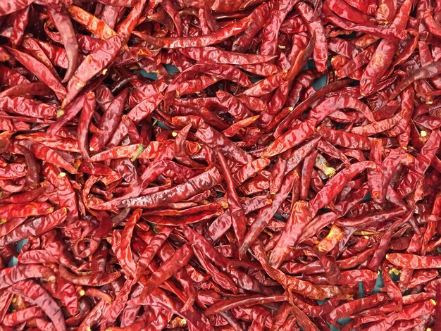 Foto foto completa de los pimientos rojos de chile