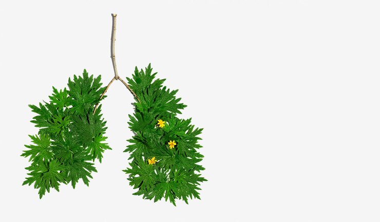 Foto foto conceitual de um pulmão humano saudável feito de folhas verdes de motherwort