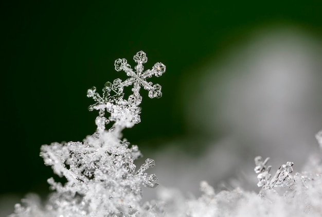 Foto copos de nieve reales durante una nevada, en condiciones naturales a baja temperatura