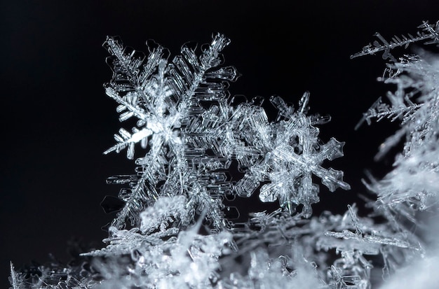 Foto copos de nieve reales durante una nevada, en condiciones naturales a baja temperatura