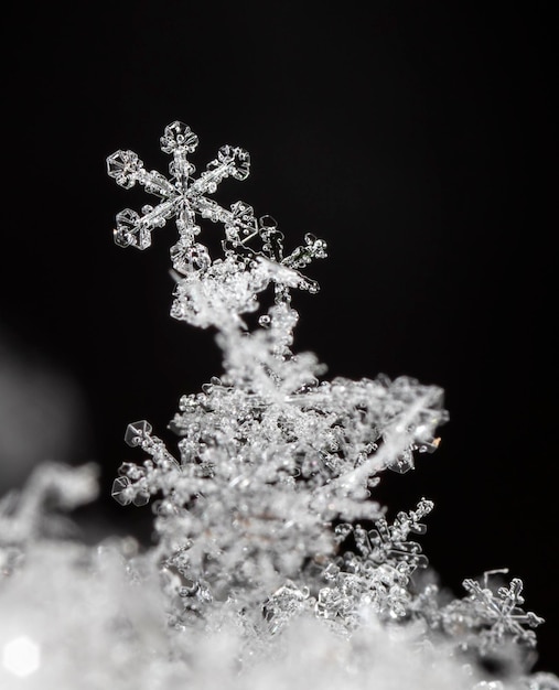 Foto copos de nieve reales durante una nevada, en condiciones naturales a baja temperatura