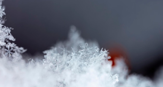 Foto copos de nieve reales durante una nevada, en condiciones naturales a baja temperatura