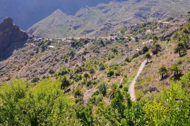 Foto Cuadro de un Valle en Canarias