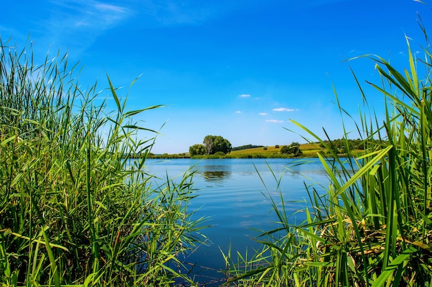 Foto da natureza em torno do belo lago azul no verão