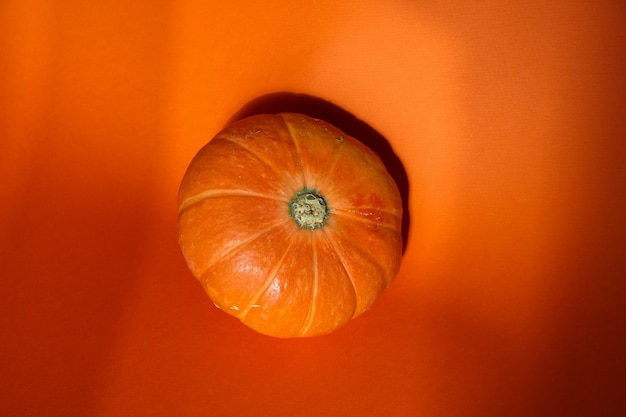 Foto da parte superior da frente de uma abóbora isolada em um estúdio de fundo laranja