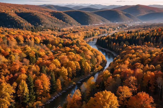 Foto da vista do drone na floresta de outono