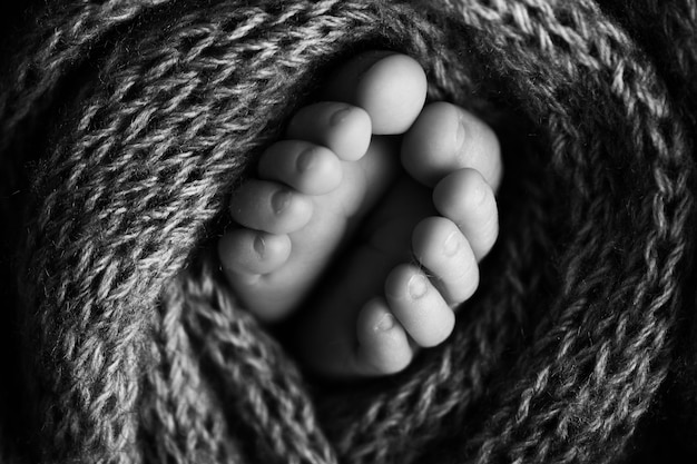 Foto das pernas de um recém-nascido. Pés de bebê cobertos com fundo de lã isolada. O pé minúsculo de um recém-nascido em foco seletivo suave. Imagem em preto e branco da planta dos pés. Foto de alta qualidade
