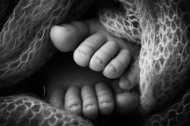 Foto foto das pernas de um recém-nascido. pés de bebê cobertos com fundo de lã isolada. o pé minúsculo de um recém-nascido em foco seletivo suave. imagem em preto e branco da planta dos pés. foto de alta qualidade