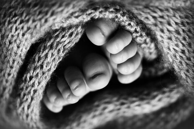 Foto das pernas de um recém-nascido. Pés de bebê cobertos com fundo de lã isolada. O pé minúsculo de um recém-nascido em foco seletivo suave. Imagem em preto e branco da planta dos pés. Foto de alta qualidade