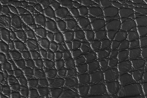 Foto de alta resolução de textura de couro de crocodilo selvagem