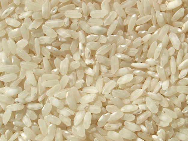 foto de arroz