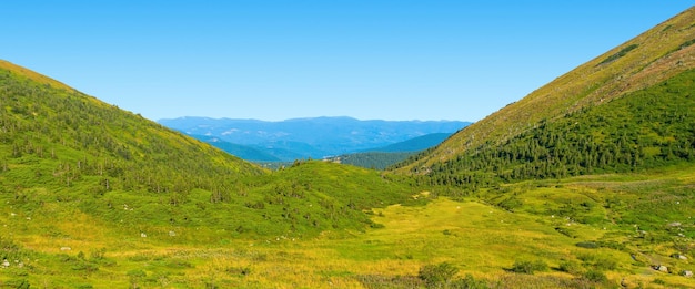 Foto de belos prados verdes e colinas no dia de verão nas montanhas dos Cárpatos