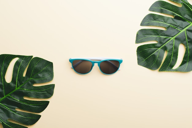 Foto de cima de folhas verdes em torno dos óculos de sol