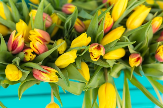 Foto de close-up de tulipas amarelas na parede azul