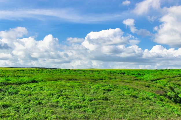 Foto de colinas com nuvens e céu azul colinas e céu azul com espaço de cópia