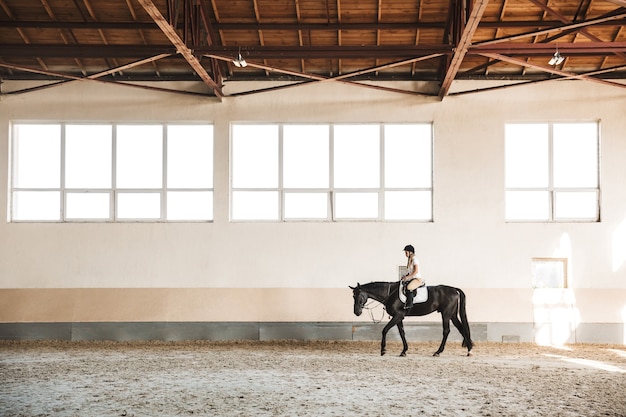Foto de concentrada bela jovem loira séria usando chapéu com cavalo na zona rural no curral na área de treinamento.